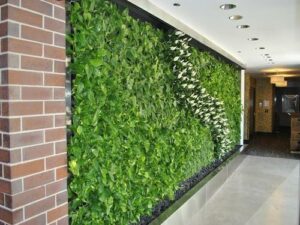 Vertical Wall Garden