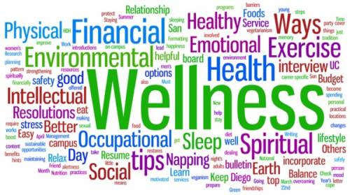 Wellness Challenges