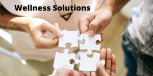 Wellness Solutions: What All You Should Know About It?