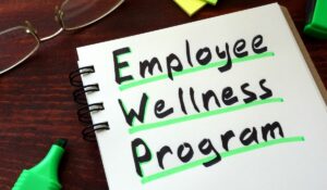 Wellness portal and wellness programs- wellness-portal