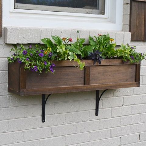 Window Boxes