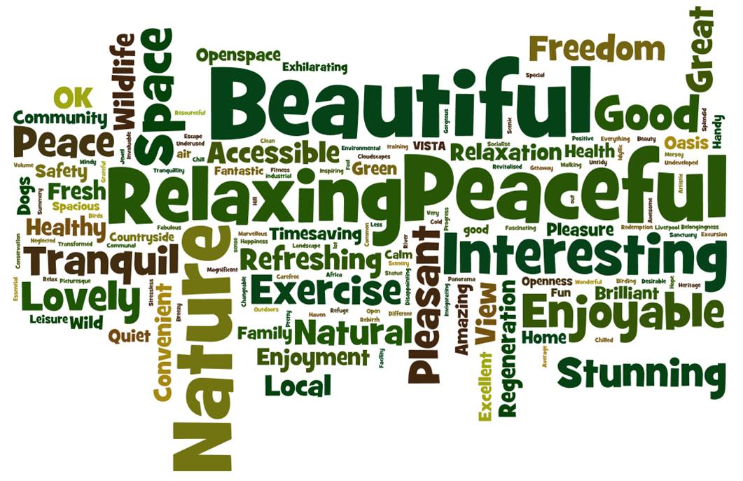 Interests fun. Облако слов appearance. Word cloud. Wealth Word cloud. Green Space Word.