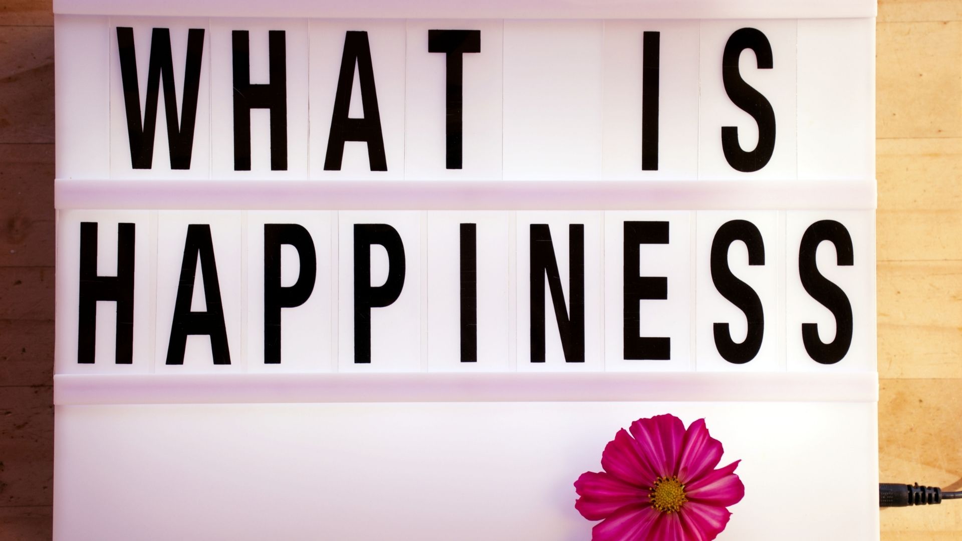 what is happiness