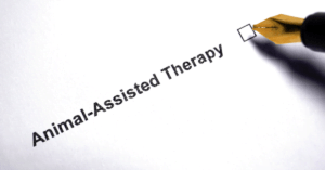 Animal Assisted Therapy