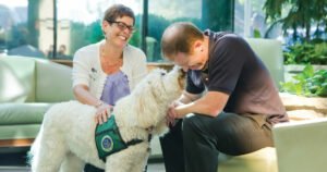 what is Animal Assisted Therapy