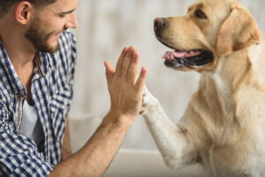 Animal-assisted Therapy