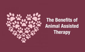 Benefits Of Animal-assisted Therapy