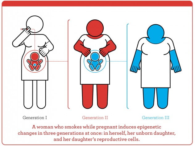 Epigenetic Inheritance in pregnancy