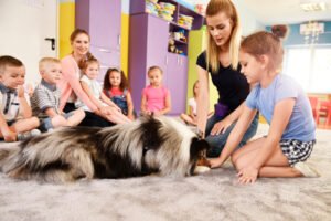 How To Get Started With Animal Assisted Therapy