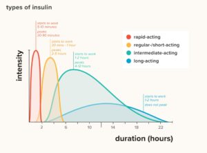 Difference b/w Long-acting & Short-acting Insulin