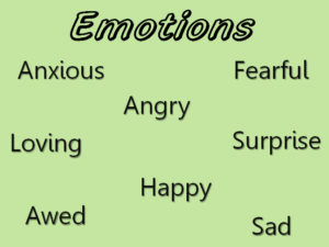 Sharing Emotional Responses