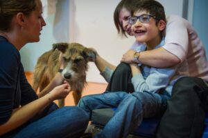What To Look For In An Animal-assisted Therapist