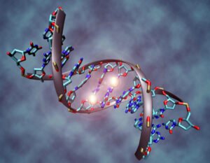 When Do Epigenetic Changes Occur