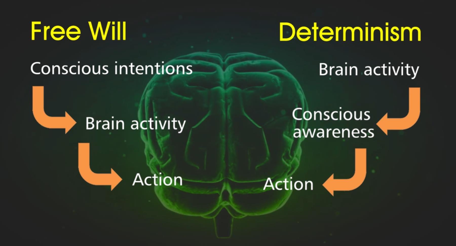 determinism-types-what-it-means-and-how-it-affects-you