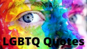 lgbtq