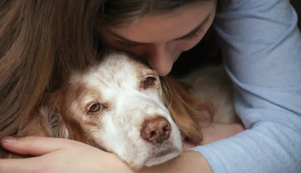 losing a pet1