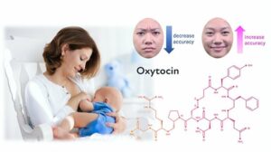 oxytocin