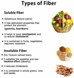 types of fiber