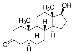 Dihydrotestosterone (DHT)