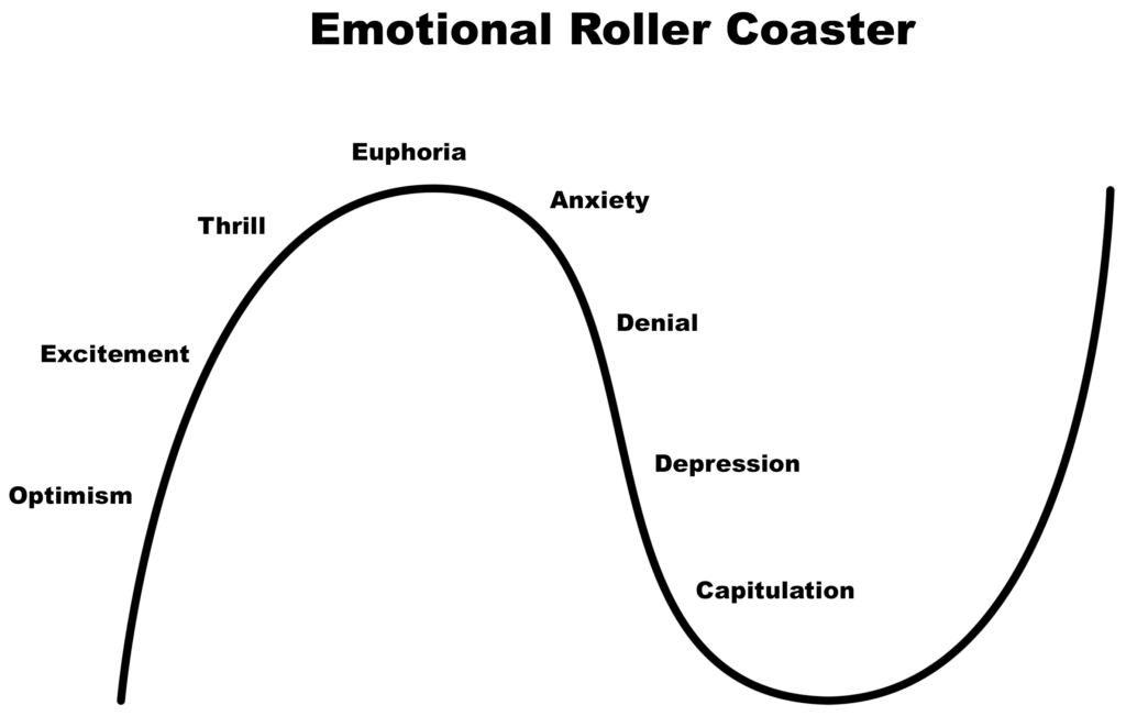 Emotional Rollercoaster: How To Process Your Emotions?