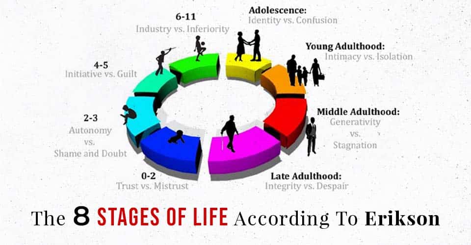 Erik erikson theory 2025 of cognitive development