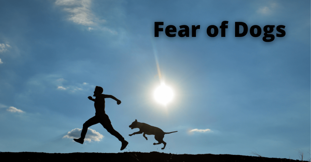 Fear of Dogs Symptoms
