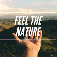 Feel Nature