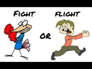 Fight Flight Freeze Fawn