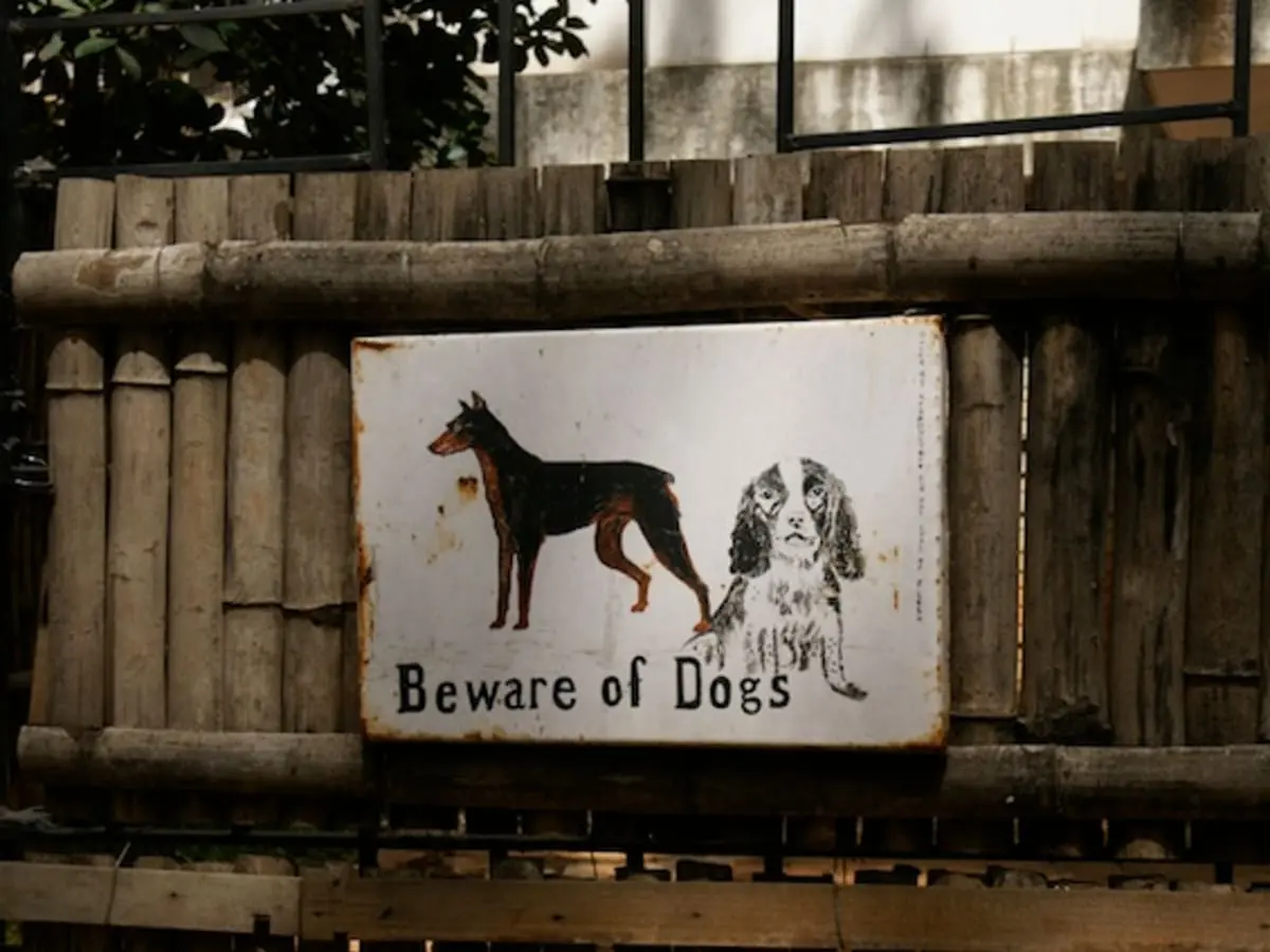 How Common Is Fear of Dogs?