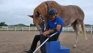 How Does Equine Therapy Help