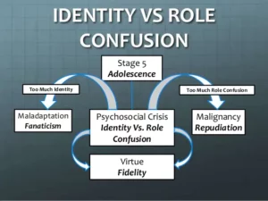 Identity vs Role Confusion Stage
