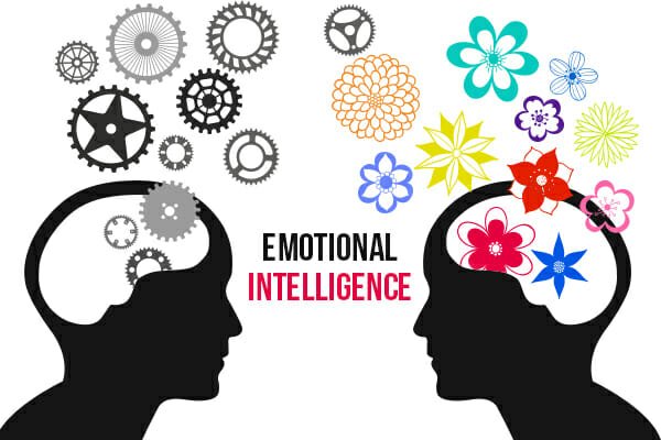 Meaning Of Emotional Intelligence