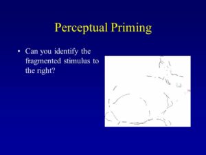 Perceptual Priming