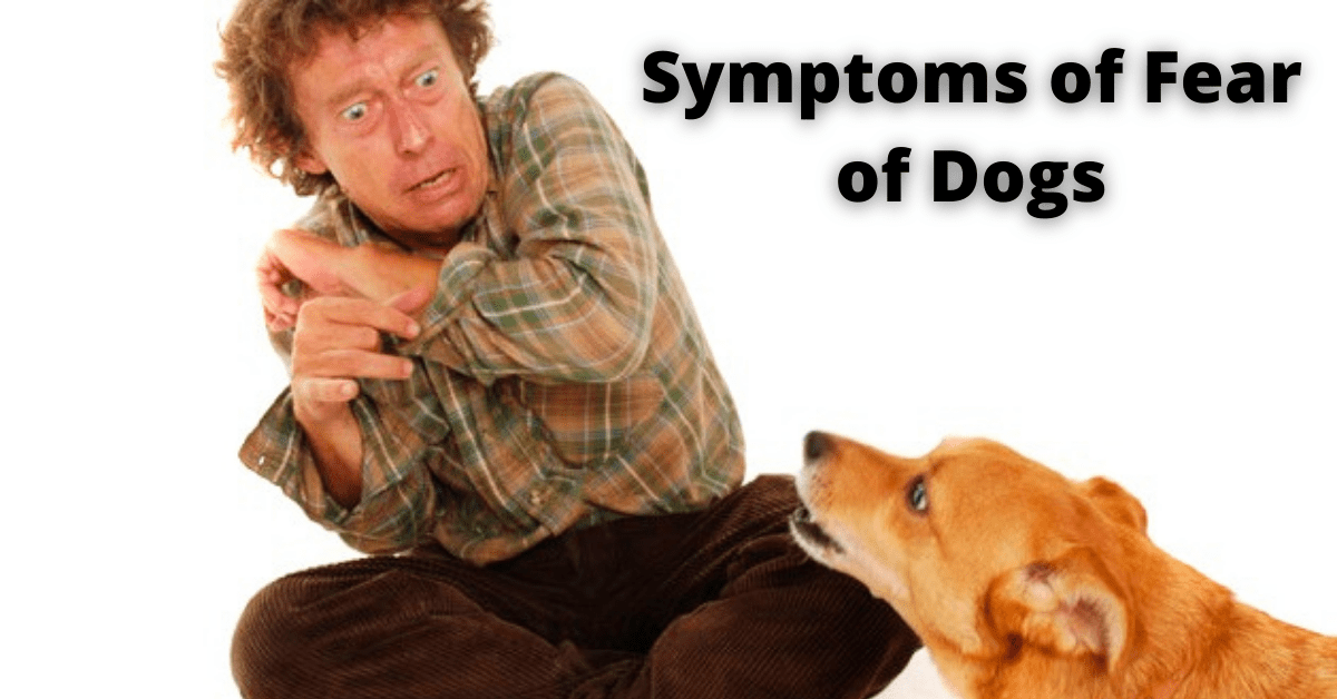 Symptoms of Fear of Dogs