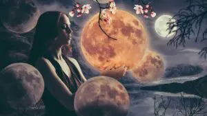 Synchronicities