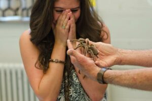 What Is Arachnophobia?