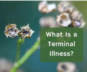 What Is Terminal Illness?