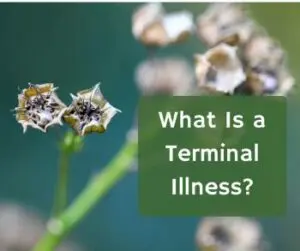 What Is Terminal Illness?