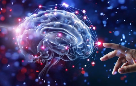 Neuroscience: How A Brain Actually Works?