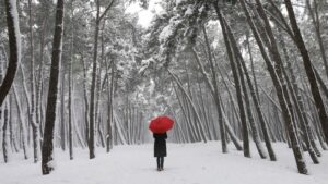 christmas blues featured