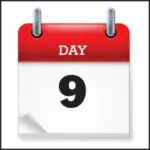 day9