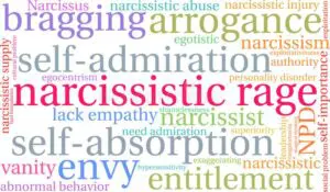 narcissistic injury cover
