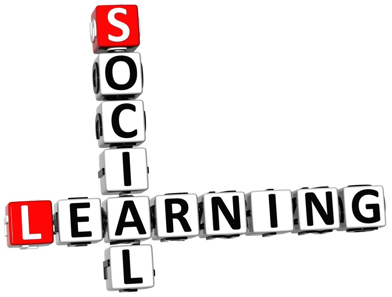 Social Learning Theory: The Concepts Behind it.