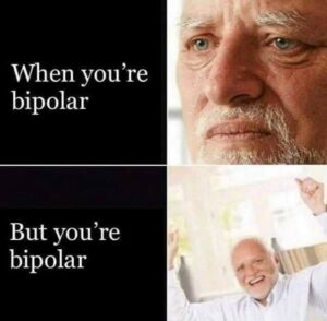 How To Deal With Bipolar Disorder Through memes?