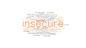 Insecurity