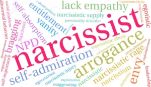 Narcissist Projections