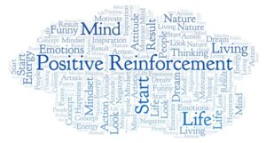 Positive Reinforcement negatives