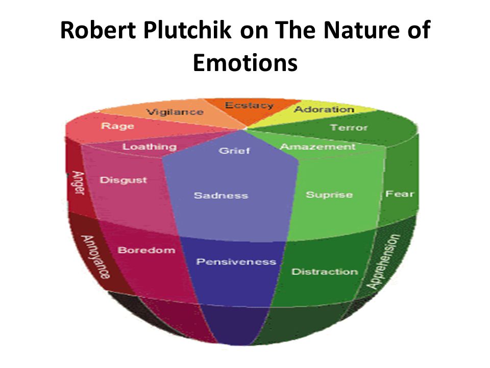 Theory Of Motivation And Emotion
