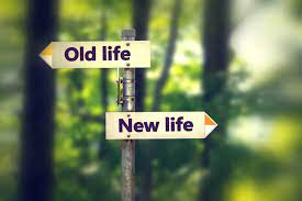 What Are Life Transitions?