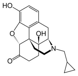 What Is Naltrexone